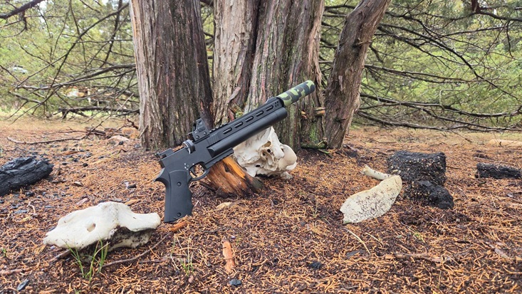 Unlocking Modern Shooting Performance: The Evolution of Pinty PCP Air Rifles and Precision Optics